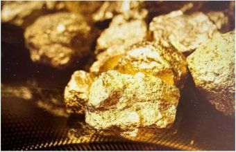 Goldmine-Gold Nugget